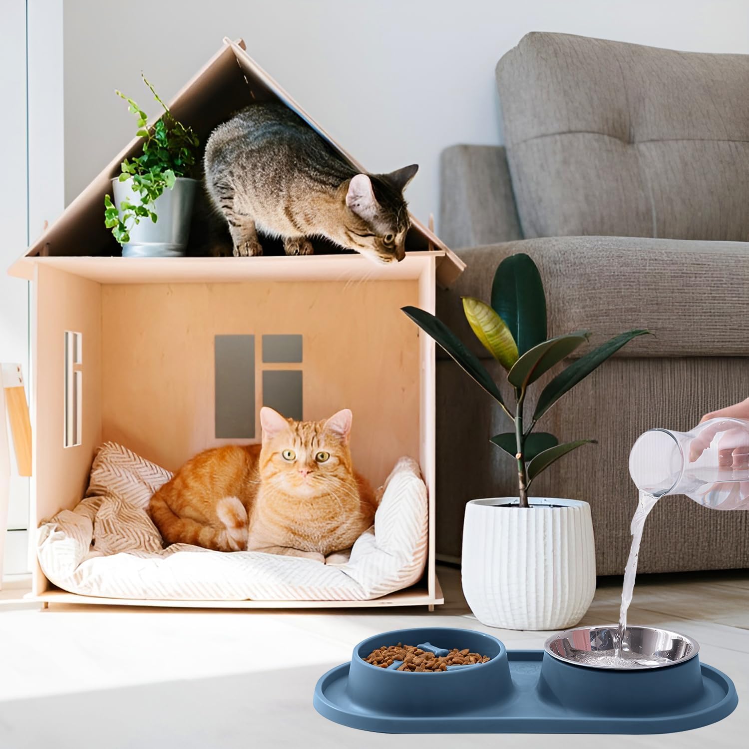 フードボウル 早食い防止 15度の傾�