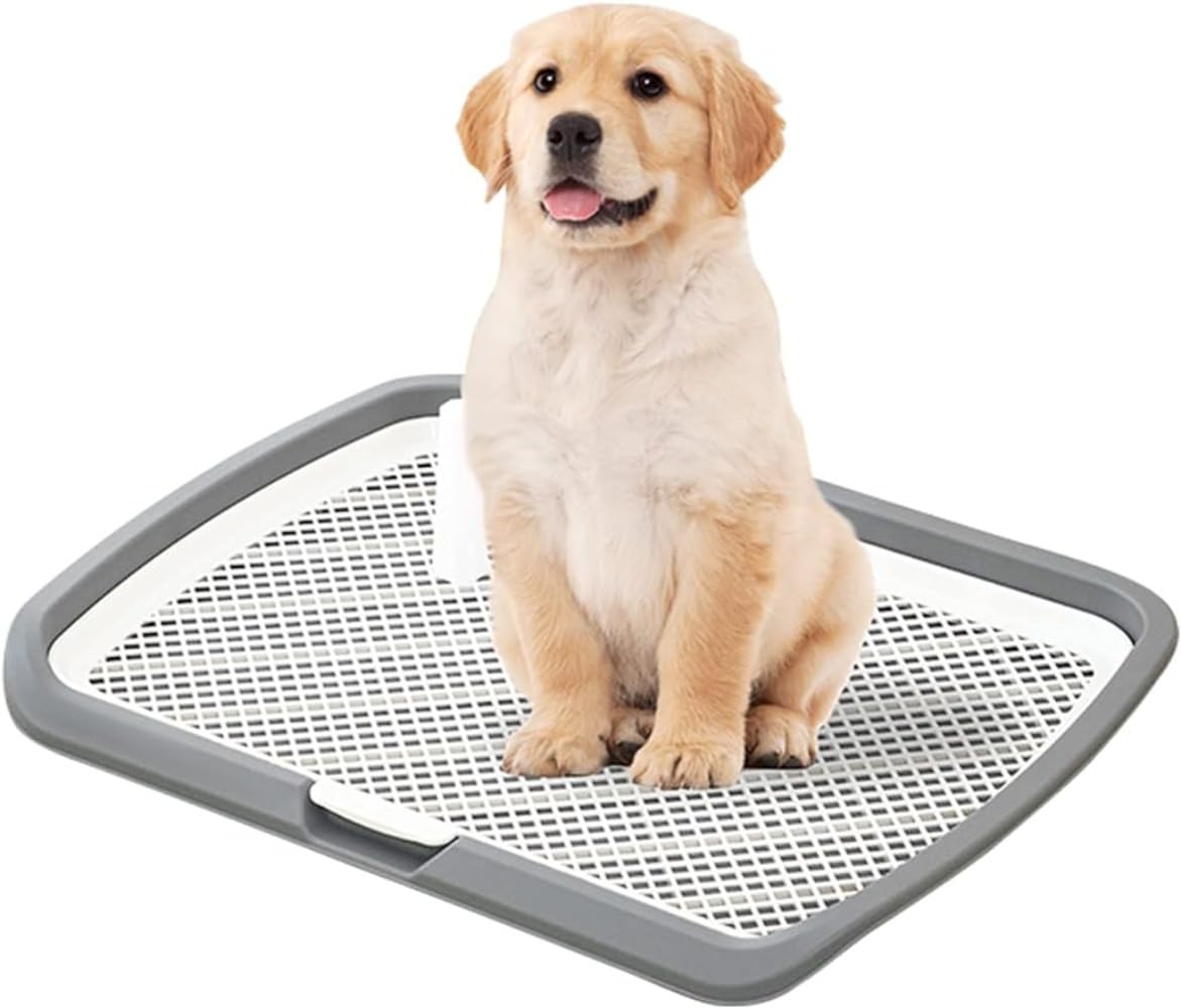 Rakuten - ペットトイレレイー 6550 大型犬トイレ トレイ ワイド 犬用 マーキングポール フチ付き トレーニング しつけ メッシュ しつけるウォールトレー ボックス屋内/屋外 高さ6.5 グレイ