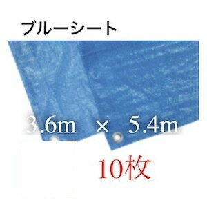 ブルーシート 3600 3.6m 5.4m 3600mm 5400mm 3.6 5.4 5400 防水 色 サイズ 3600 カラー 規格 薄手シート 養生シート 軽量シート 防水シート レジャーシート お花見 バーベキュー 使い捨て ビニールシート 花見 レジャー 台風 敷物 アウトドア 家庭菜園 DIY 園芸 災害