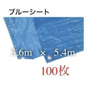 ブルーシート 3600 3.6 防水 色 サイズ 3.6m 5.4m 3600mm 5400mm 5400 5.4 カラー 規格 薄手シート 養生シート 軽量シート 防水シート レジャーシート お花見 バーベキュー 使い捨て ビニールシート 花見 レジャー 台風 敷物 アウトドア 家庭菜園 DIY 園芸 災害