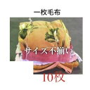 中古毛布 リサイクル毛布 古毛布 養生用毛布 養生毛布 柄物 養生用 あて毛布 ふる毛布 販売 養生毛布保護材 物流 運搬 引越し 簡易 階段運び 用品 機材運...