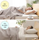 タオルケット 夏用 キング 夏 用 夏掛け コットン 子供 ふわふわ ケット 肌掛け とろ マシュマロ 肌 かけ 綿100% かわいい キングサイズ ケット 掛...