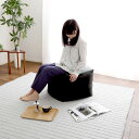 ビーズクッション ソファ 大きい 人気 クッションソファー 抱き枕 省スペース 1人用 一人掛け 座椅子 ジャンボ ビッグ 洗える カバー 特大 安い 大 ビー...