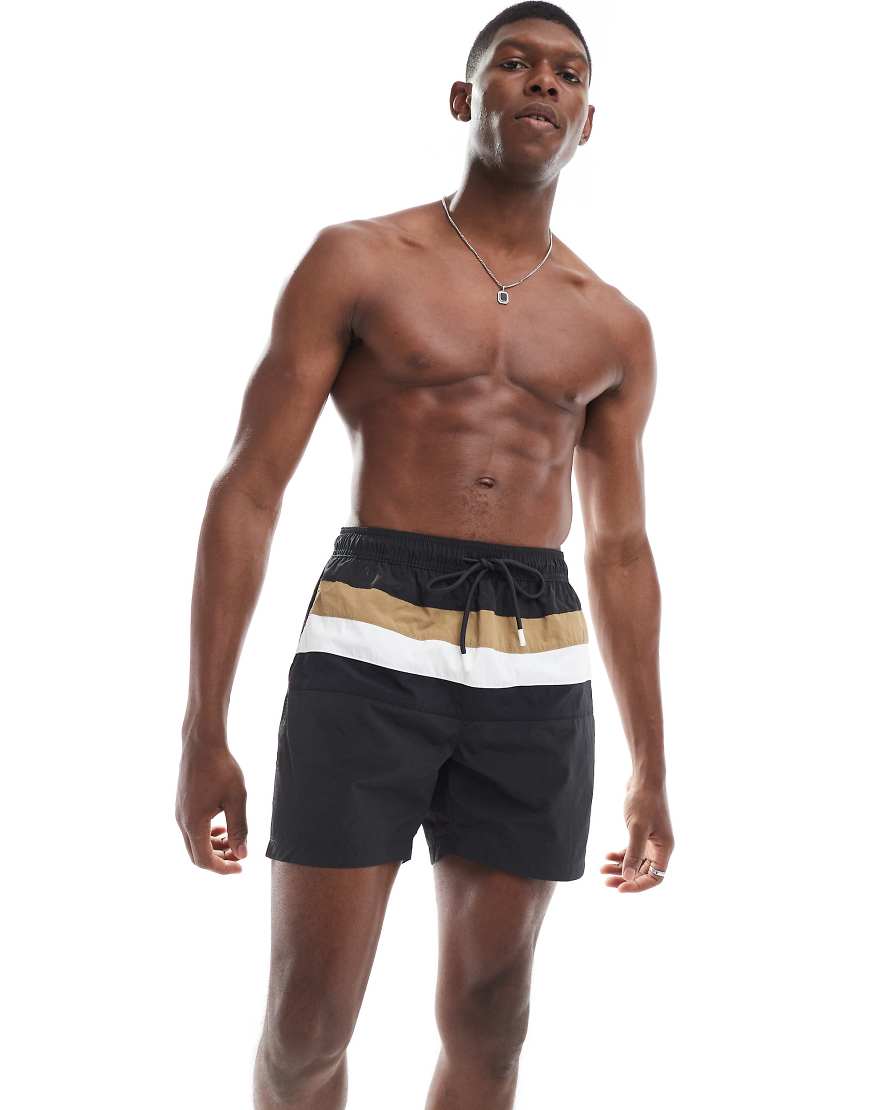 ボス・ルイスのロゴストライプが入ったダークグレーのスイムショーツ 水着 メンズ 男性 インポートブランド 小さいサイズから大きいサイズまで