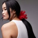 アンドアザーストーリーズ & Other Stories & Other Stories の大きなメッシュシュシュ(レッド) アクセサリー レディース 女性 イ...