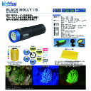 LEDライト　bigblue(ビックブルー) BLACK MOLLY VB AL-2600XWPB 2600ルーメン