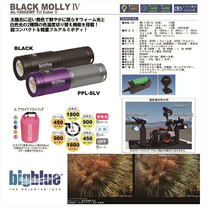 楽天ダイビングショップダイブアワードLEDライト　bigblue（ビックブルー） BLACK MOLLY IV AL-1800XWP Tri Color2　1800ルーメン