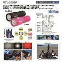 LEDライト bigblue(ビックブルー)VTL-2600P