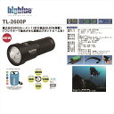 LEDライト bigblue(ビックブルー) TL-2600P 2600ルーメン