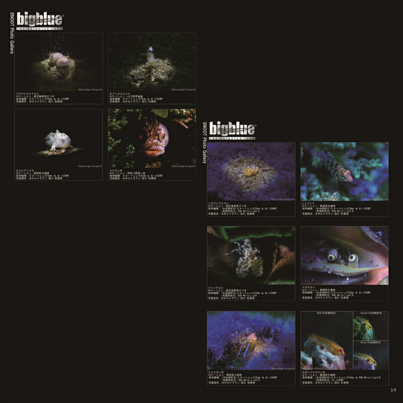 �ڥ᡼�����б���LED�饤�ȡ�bigblue(�ӥå��֥롼) ���̡��ȥ�󥺡�35mm&RGB White LGHT2 ���å�