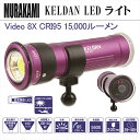 KELDAN LED ライトVideo 8X CRI95 15,000 ルーメン