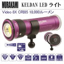 KELDAN LED ライトVideo 8X CRI85 18,000 ルーメン