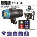 楽天ダイビングショップダイブアワードWEEFINE FIX LED ライト WF Smart Focus 6000