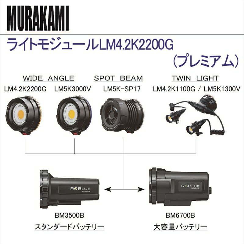 ライトモジュールLM4.2K2200G　( プレミアム)