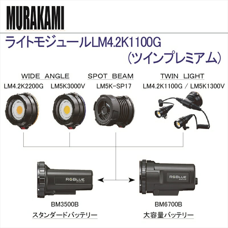 ライトモジュールLM4.2K1100G　( ツインプレミアム)