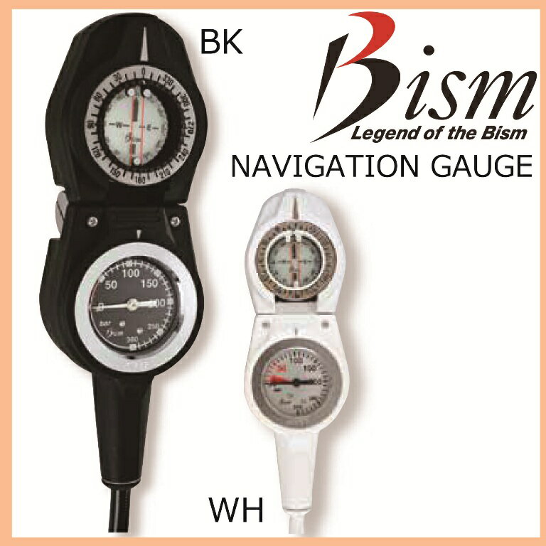 [Bism]ӡNavigationGaugeʥʥӥ󥲡