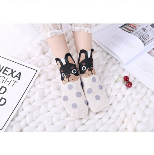 犬 くるぶし ソックス 靴下 レディース 5色...の紹介画像2