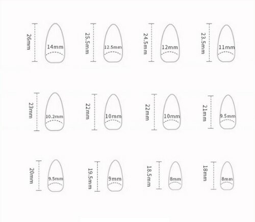 ★【ネコポス可】PREGEL（プリジェル） カラーEX　チュールシリーズ 3gチュールココア　PG−CE858