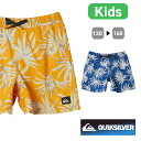 【サマーSALE 10倍】 QUIKSILVER クイックシルバー ボードショーツ サーフパンツ サーフショーツ 水着 サーフィン キッズ 子ども 男の子 ジュニア 子供 インナー 14インチ 水陸両用 AQBJV03053 EVERYDAY MIX VOLLEY YTH 14