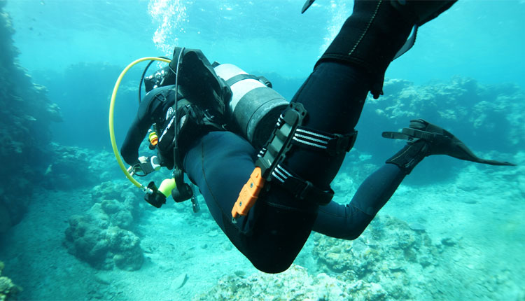 AQUATEC/アクアテック ナイフストラップ ロング 470mm Kn-200-1通販格安セール情報 楽天 通販