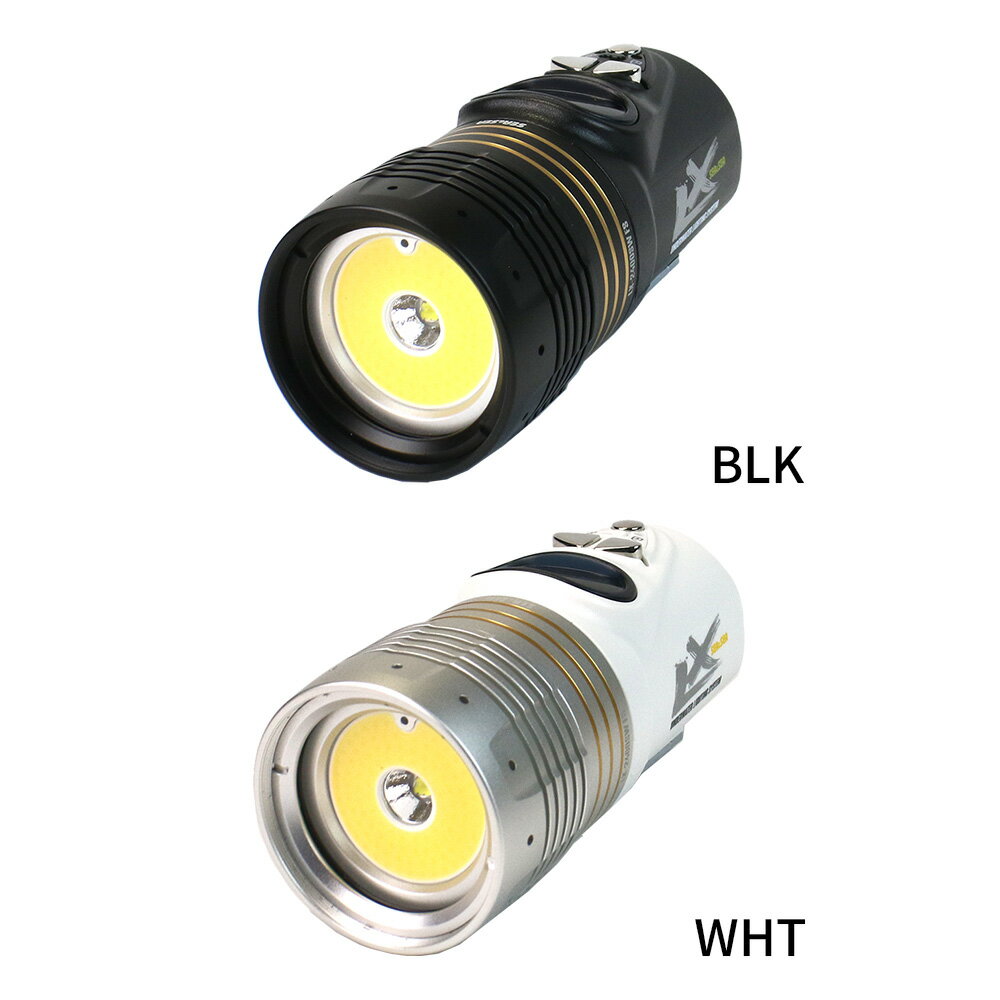 SEA＆SEA/シーアンドシー LX-2400SW FS【09132/09133】水中 ライト COB LED 高輝度...