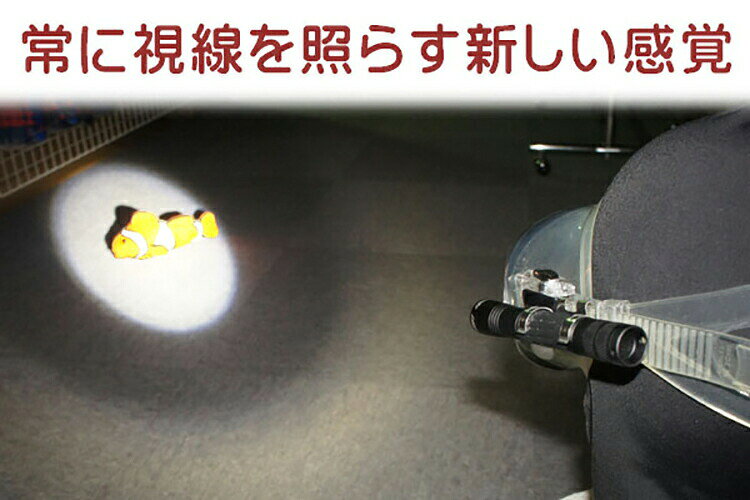 DIVING-HIDのダイビング ライト Aqua-No.1 LED ヘッドライト 200ルーメン 防水150m コンパクト 水中ライト the standard .feat AQUATEC アクアテック マスク取付対応｜アングル3