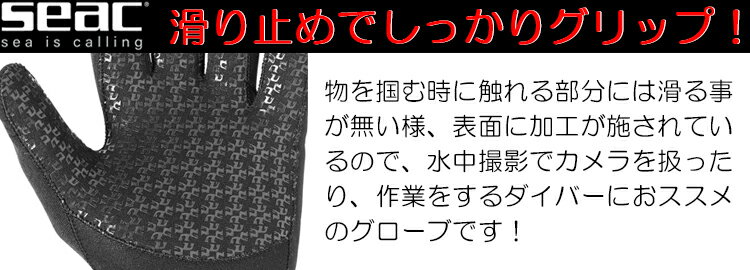 SEAC(�����å�)��ANATOMIC HD 2.5mm�� �����ӥ��ѥ����󥿡���������