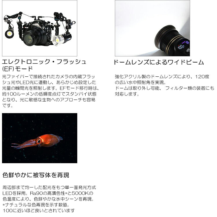 DivingGearのFisheye(フィッシュアイ)　FIX NEO Premium 4030 EF IIフィックス ネオ プレミアム 水中撮影 水中ライト LEDライト 水中カメラ｜アングル2