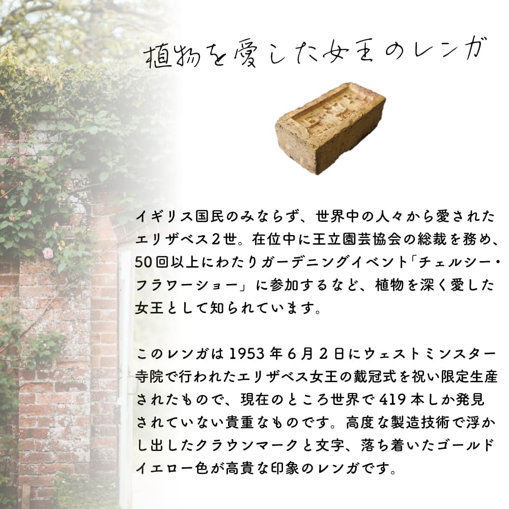 ����ƥ�������� ������ ������ ��ǰ��� ���ꥶ�٥�2�� E2R �״���ǰ ���� �����ꥹ �ѹ� ��230��110��72mm �� �������� ������� �����ǥ˥� ���� ���� �� ���ե� £��ʪ�ڥ���ƥ֥�å� ���饦�� 1������ۢ�������Բġ��᡼����ľ����