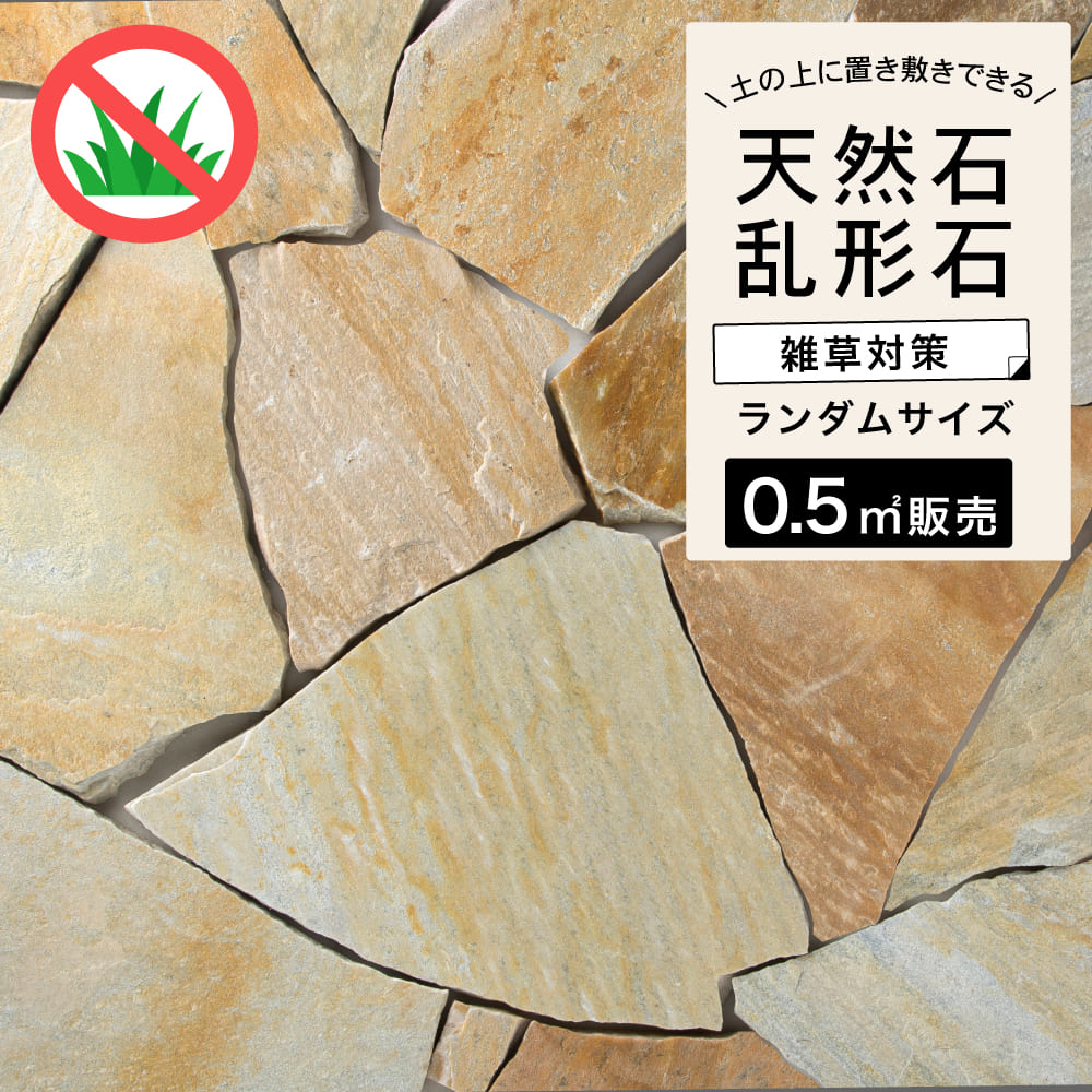 sf05pd-am.jpg sf05pd-am.jpg