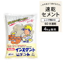 セメント 速乾 トーヨー 花壇 レンガ積み ブロック塀補修 コンクリート補修 水を加えるだけ 簡単施工【60分速乾性インスタントセメント グレー 4kg】