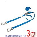 【いつでも2倍!5.0のつく日、18日は3倍!】SK11 ステンラチェットベルト荷締機 RTS-2545S