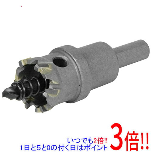 【1日と5.0のつく日、18日はポイント3倍！】SK11 超硬ホールソー W刃 STH-25