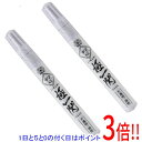 【いつでも2倍!5.0のつく日、18日は3倍!】SK11 極一閃ペイントマーカ中白2本 SKPM-W-2P SKPM-W-2P 2ホングミ