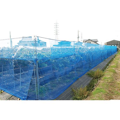 【1日と5.0のつく日、18日はポイント3倍！】セフティ−3 防風ネット 目合4mm 1MX5M