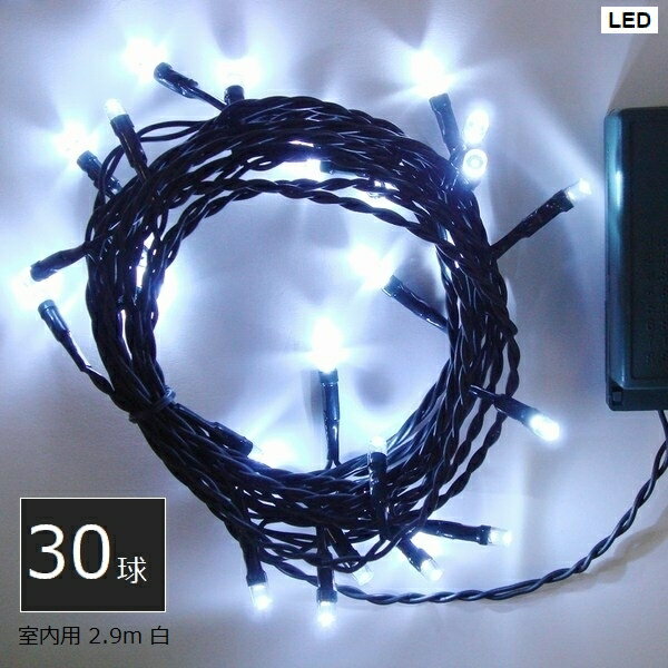 ߥ͡  LED30 Х  (SHG30W) ȥ顼 2.9m Բġۡڲ졦ΥԲġ