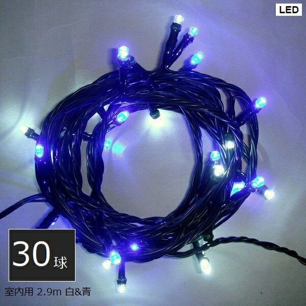 ߥ͡  LED30 Х & (SHG30WB) ȥ顼 2.9m Բġۡڲ졦ΥԲġ