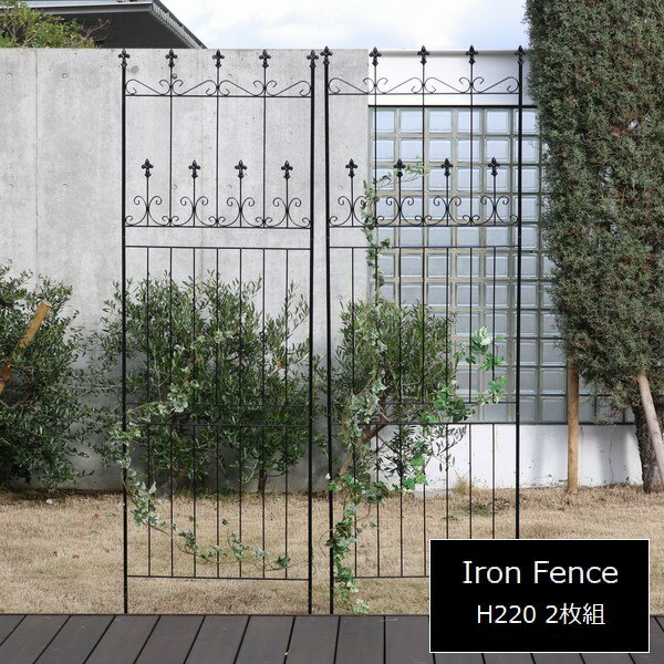 アイアンフェンス オールドシャトーフェンス220 ハイタイプ 2枚組 ブラック OC001H-2P-BLK ※北海道＋3000円 【代引不可】