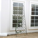 グリーンフェンス ブラック 幅80cm アイアン製グリーンカーテン アーガイル IF-GC011BLK ※北海道+3000円 日除け 日よけ 【代引不可】