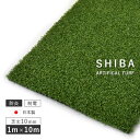 人工芝 芝丈10mm 1×10m カラー:新緑 防炎 スミノエ リアル人工芝 SHIBA SGK-1000(D) ※北海道・九州・離島見積 【代引不可】
