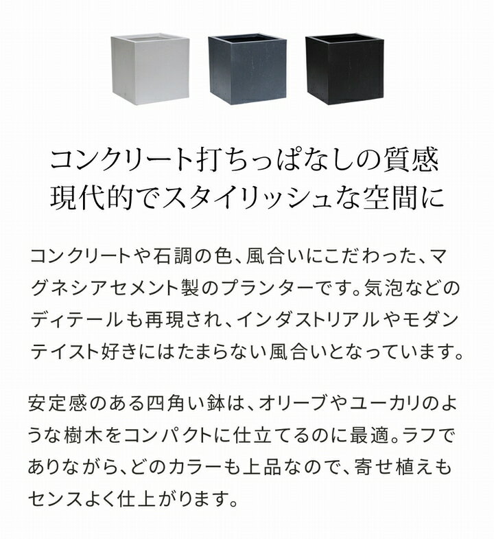 【ポイント10倍 6/2 17:00〜6/11 01:59】 プランター 角型36cm ホワイト (TEX-360C...