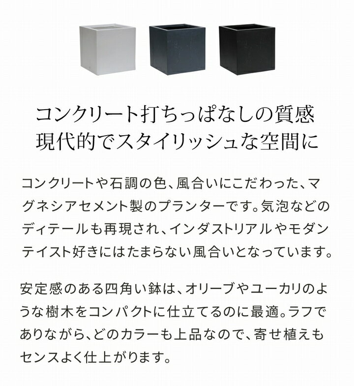 【ポイント10倍 6/2 17:00〜6/11 01:59】 プランター 角型40cm ホワイト (TEX-400C...