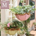 植木鉢 吊り下げポット アンブレラポットM ピンク (5701) 幅24.5cm 高さ10.5(38.5)cm ※北海道・沖縄・離島配送不可