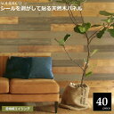 壁材 天然木パネル 足場板エイジング 40枚組(約6平米) SOLIDECO SLDC-40P-004ASB ※北海道+3000円 【代引不可】