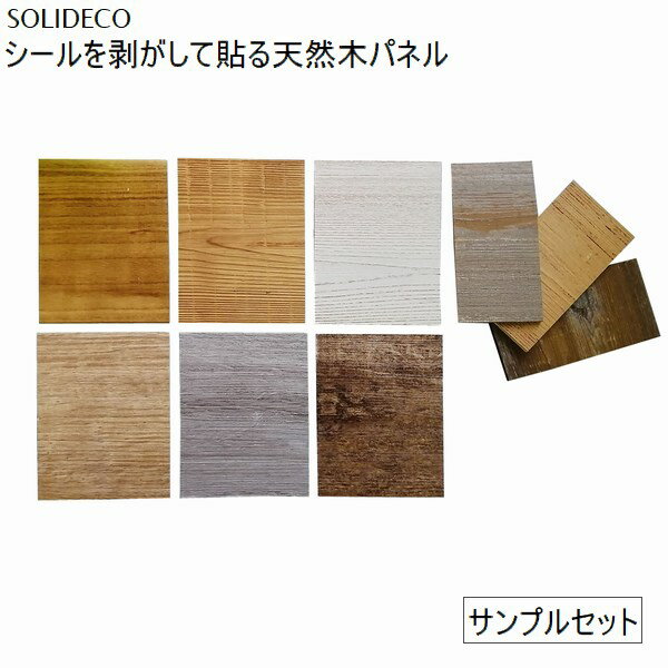 �Υ���ץ�� �ɺ� ŷ���ڥѥͥ� [�������1���åȸ¤�] SOLIDECO D-00SAM ��������̵�� ������Բġ�