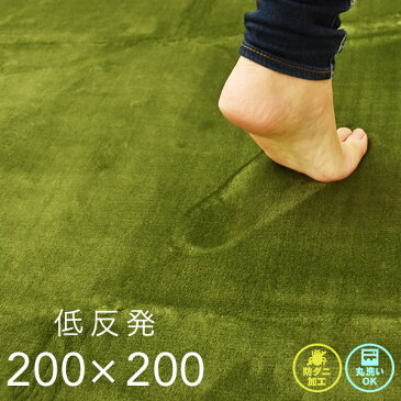 ラグ 低反発 200×200cm グリーン 洗える フロックス 厚手 ホットカーペット 対応 CLEARANCE