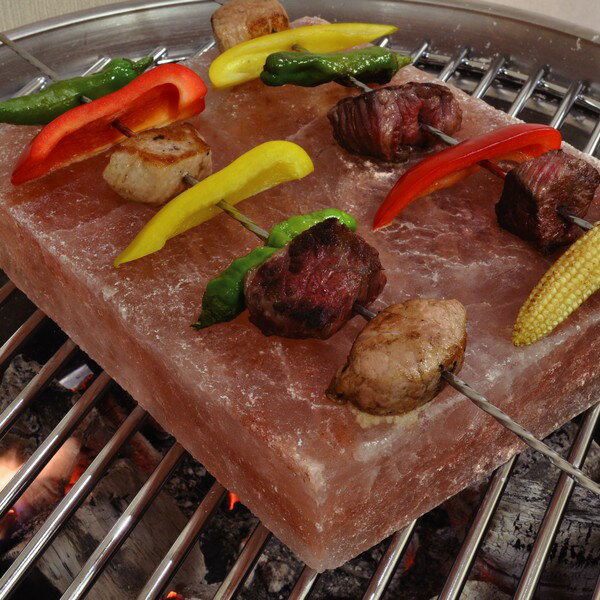 岩塩プレート スモールスクウェアプレート (120×120×12) 10枚セット 【代引不可】