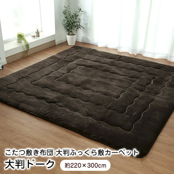 ڥ 饰  ߤ 220300cm Ƚɡ ˸ Բġ