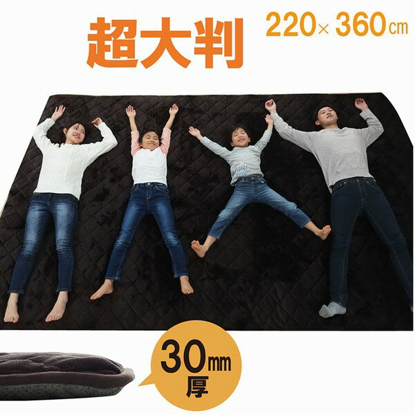 【送料無料】【代引不可】 ラグ こたつ敷き布団 大判ドークロング 220×360cm 6026209