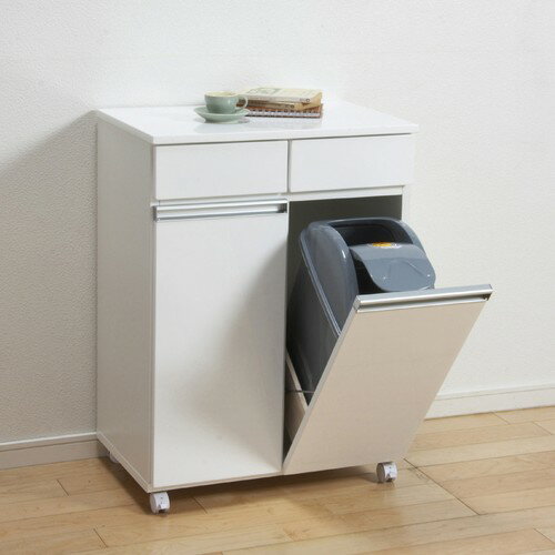 ゴミ箱 分別 クロシオ ダイニングダストボックス 2D ホワイト (23703) ※北海道・沖縄・離島送料別途見積【代引不可】